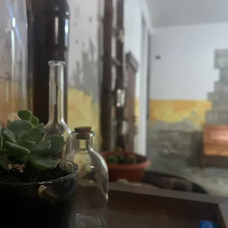 Sweet Little House